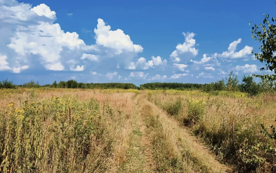 В регионе сохраняется высокая пожароопасность!